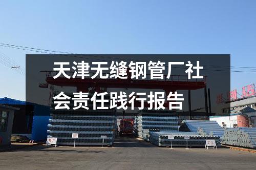 天津無(wú)縫鋼管廠(chǎng)社會(huì)責(zé)任踐行報(bào)告